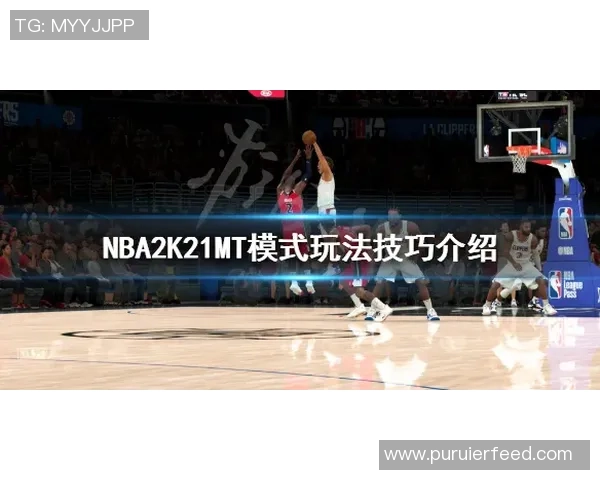 周伟独家篮球心得分享：从基础到进阶的全面技巧解析与实战经验总结