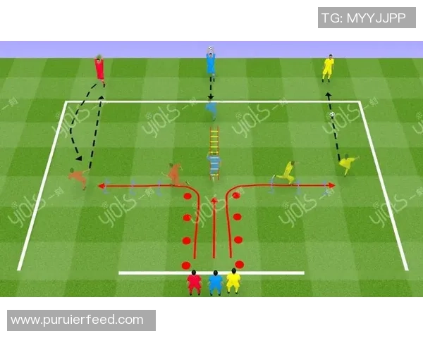 西安足球队整体压制战术解析与球队发展策略探讨